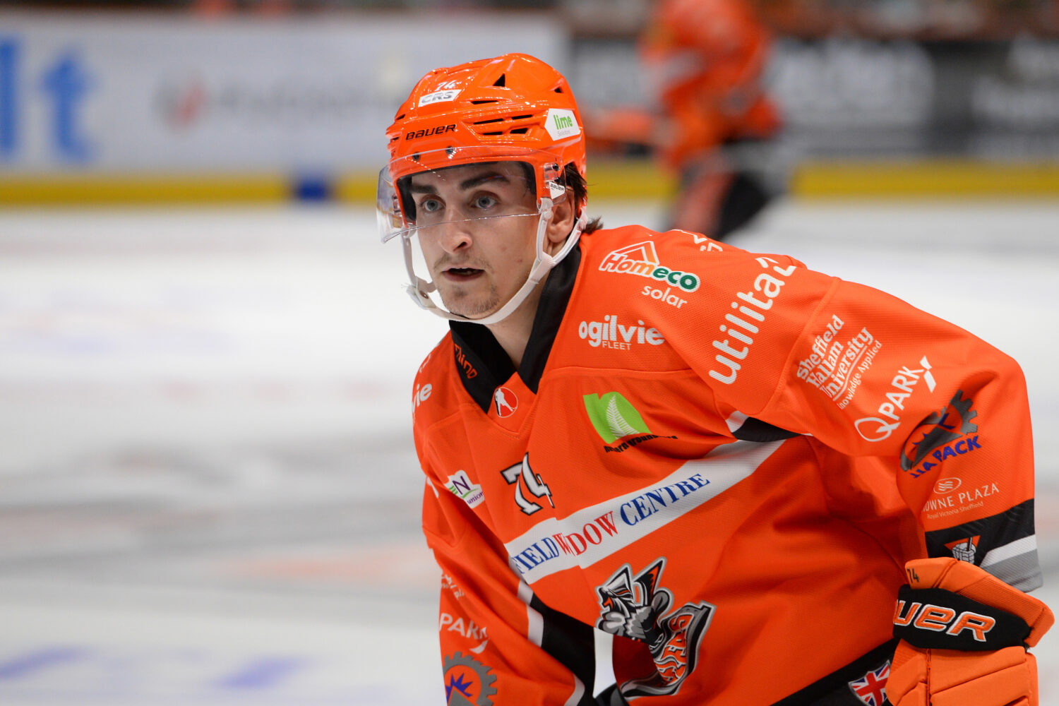 Wednesday: Steelers Back on the Ice – Sheffield Steelers