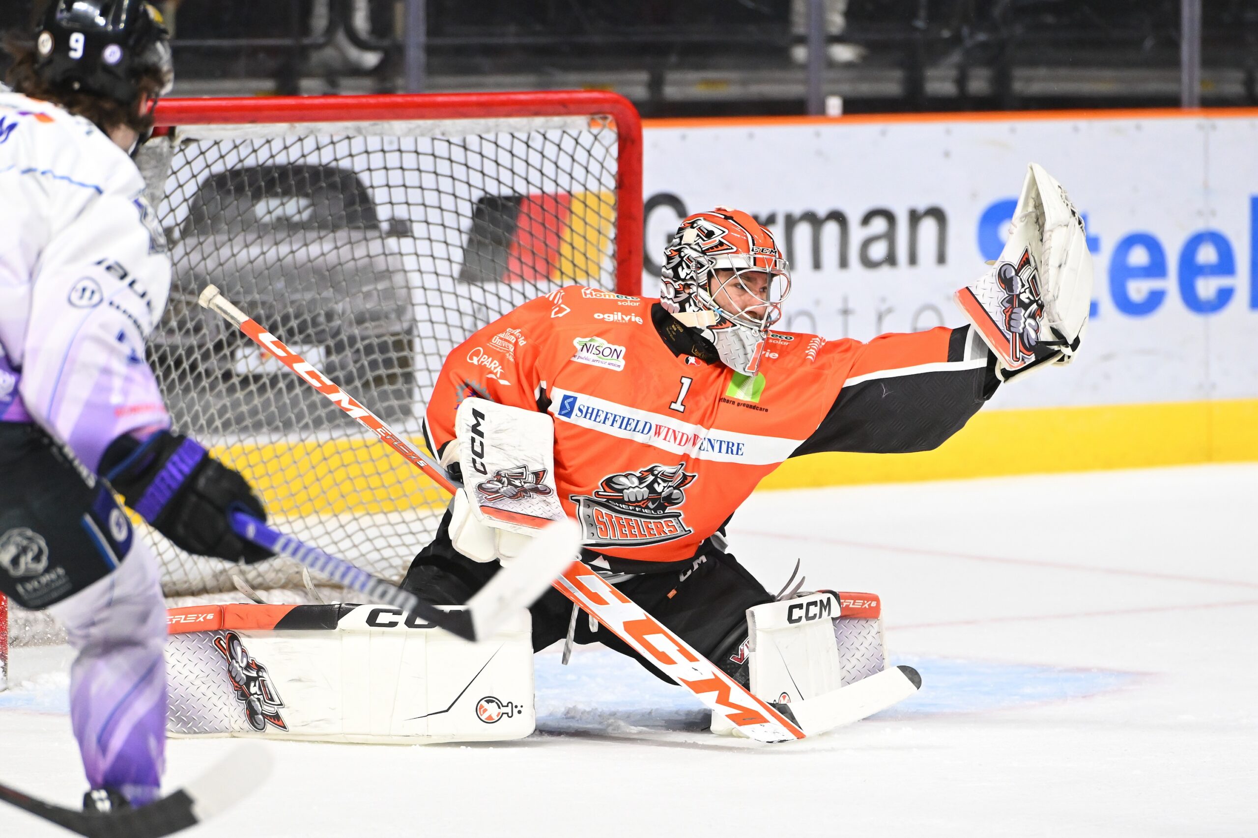Sheffield Steelers players celebrating on the ice