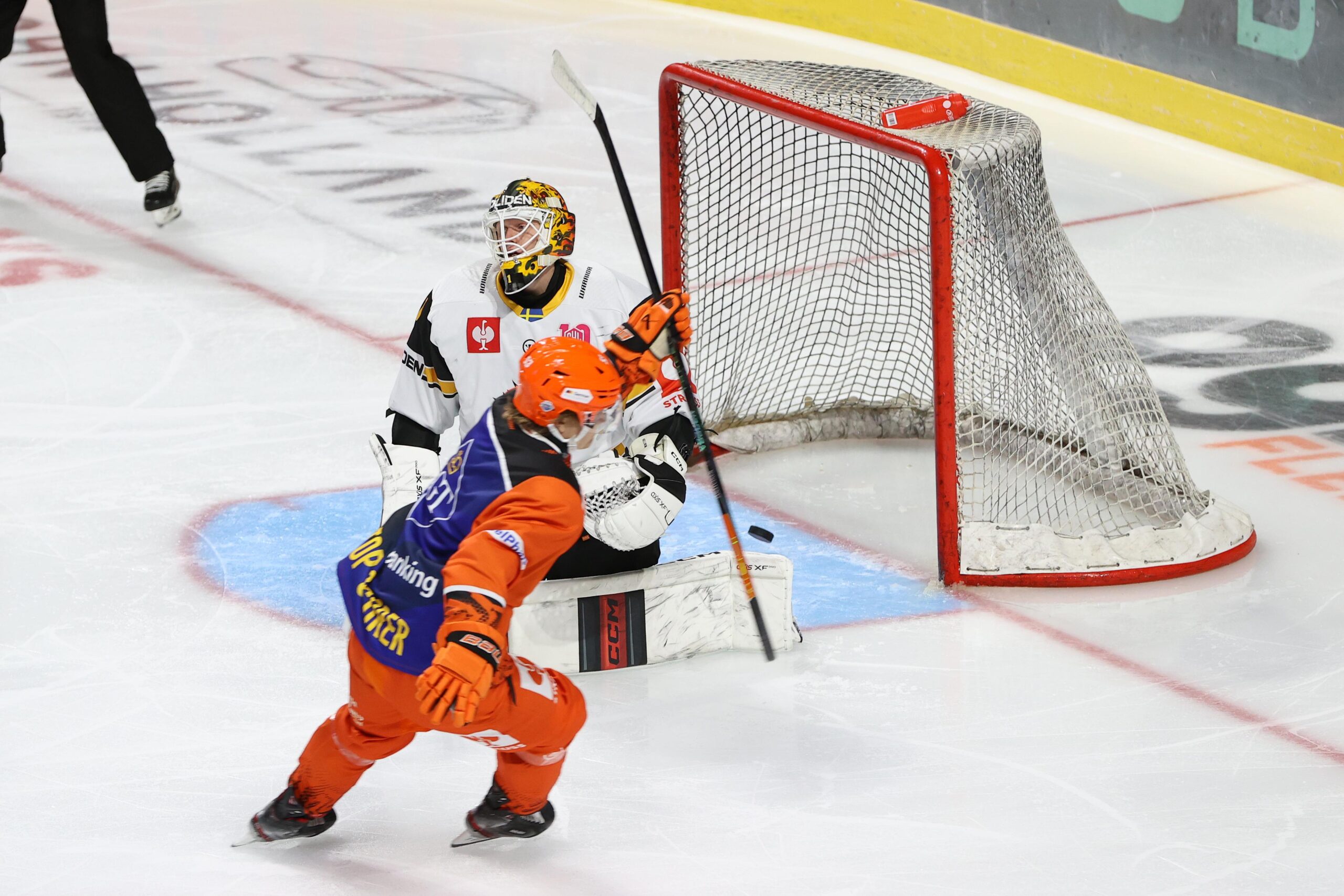 14/10/2024 Sheffield Steelers