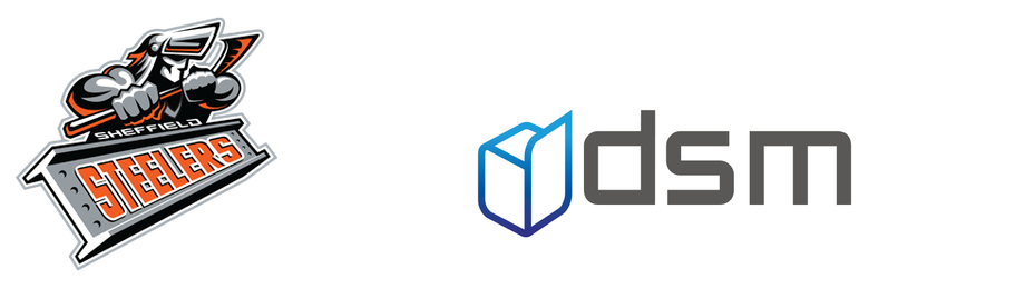 logo_dsm